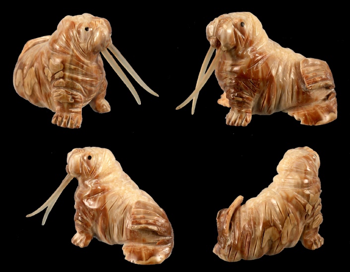fossil ivory walrus