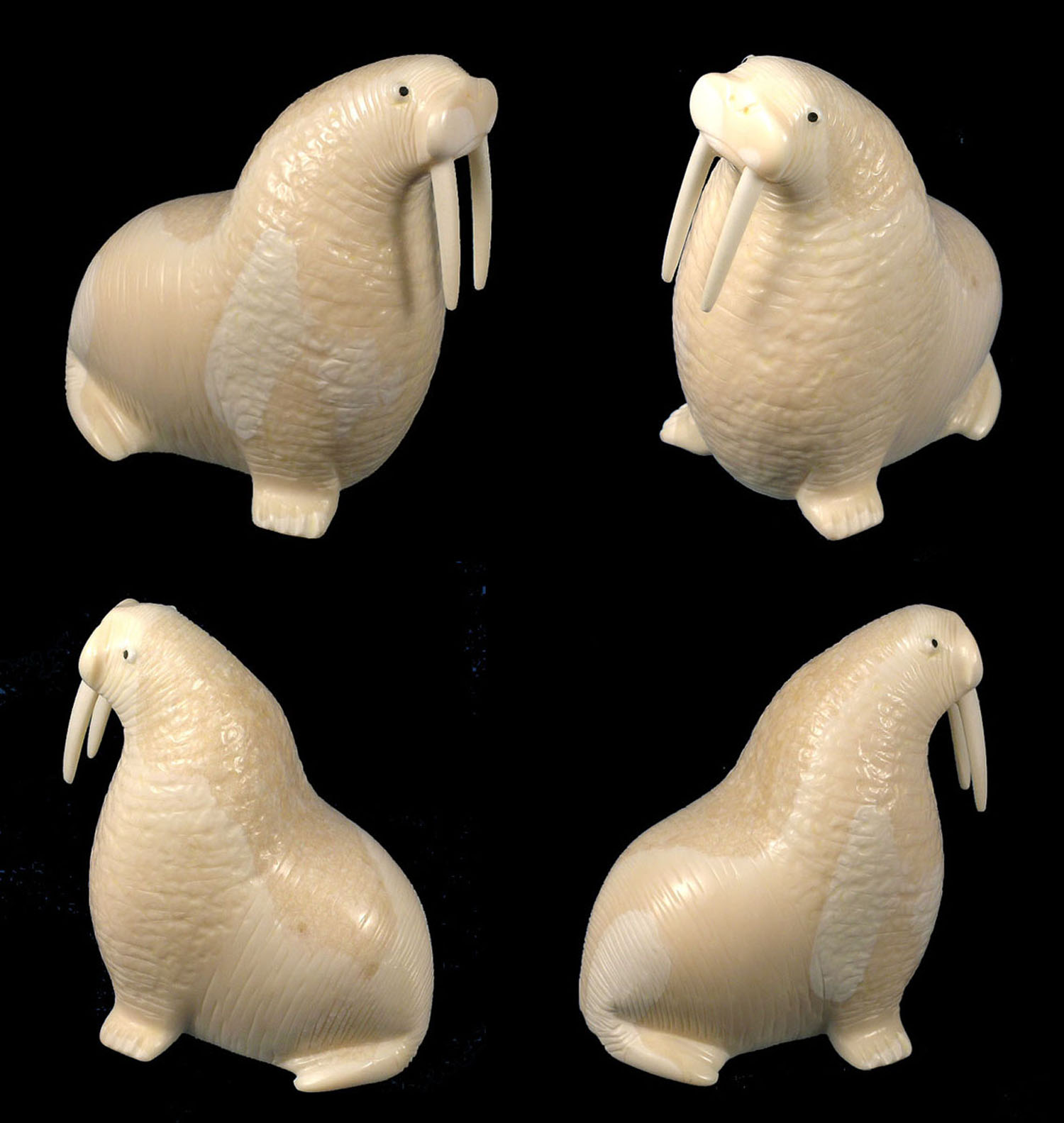 ao21walrusgroup1