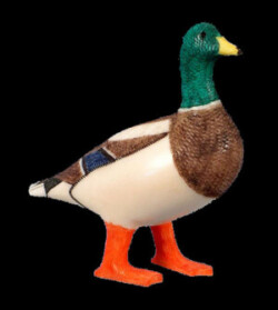 tedmayacmallarddrake1a2